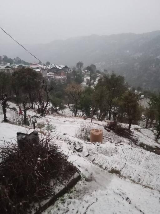 Valley View Family Unit Kasauli Eksteriør billede